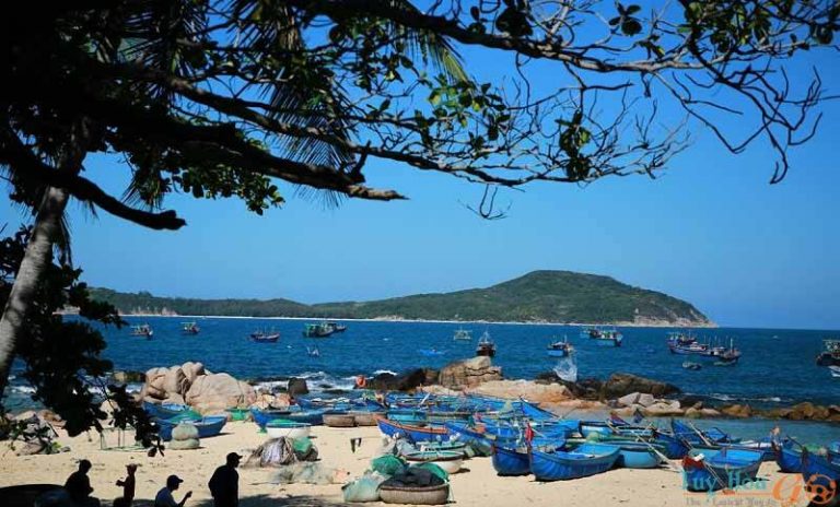 Cù Lao Mái Nhà - Ảnh Quy Nhơn Teambuilding