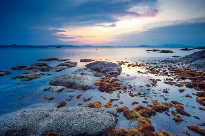  Ảnh Quy Nhơn Teambuilding