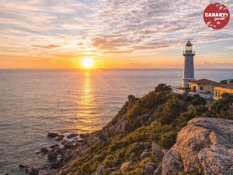 Ngắm Bình minh tại mũi điện