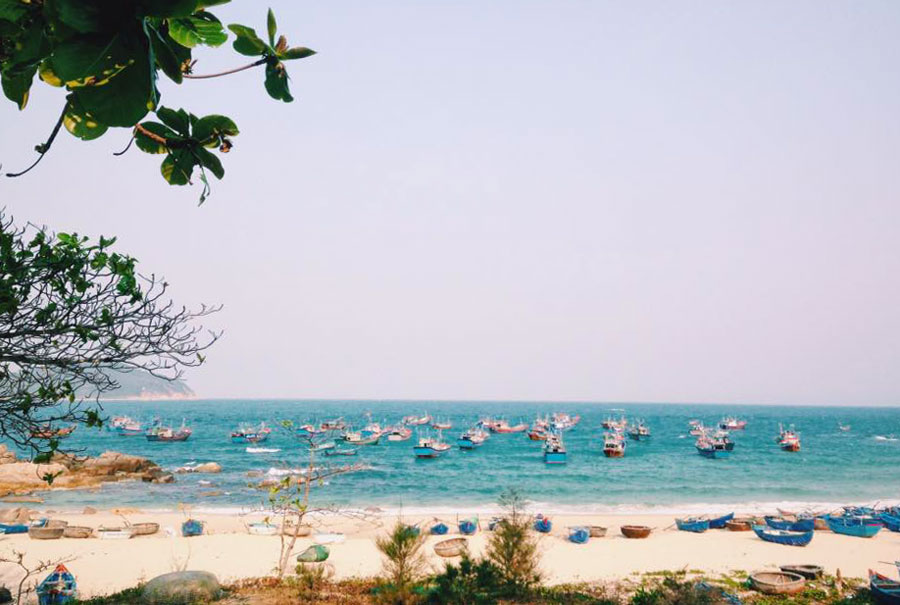 Tour Cù Lao Mái Nhà Phú Yên 1 ngày