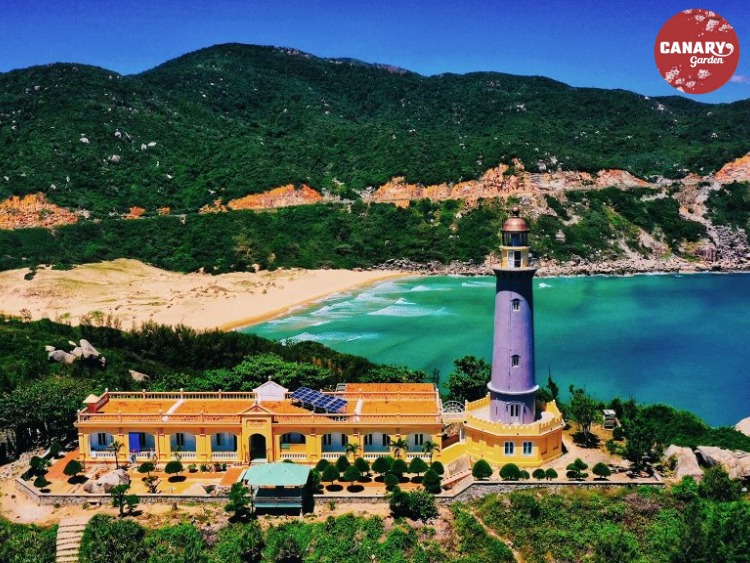 Tour Quy Nhơn - Phú Yên 1 ngày - khám phá hải đăng Mũi Điện