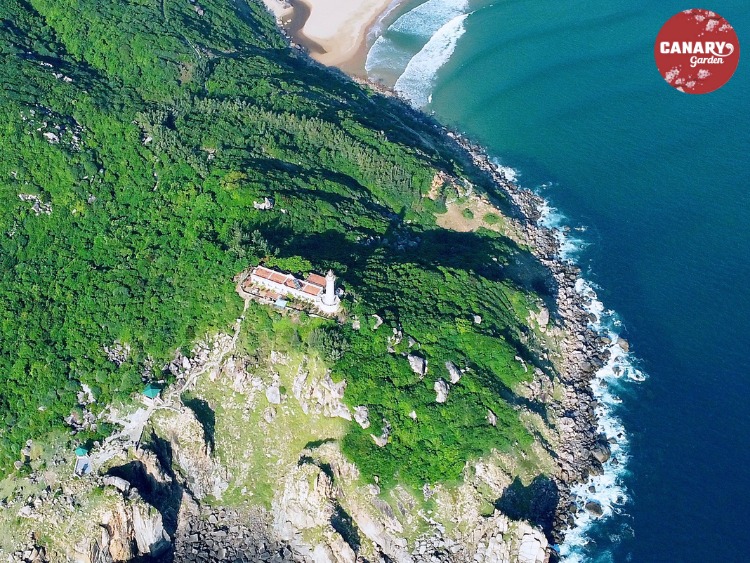 Tour Quy Nhơn - Phú Yên 1 ngày -ngắm nhìn mũi điện từ trên cao