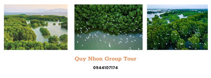 Tour Cồn Chim Quy Nhơn