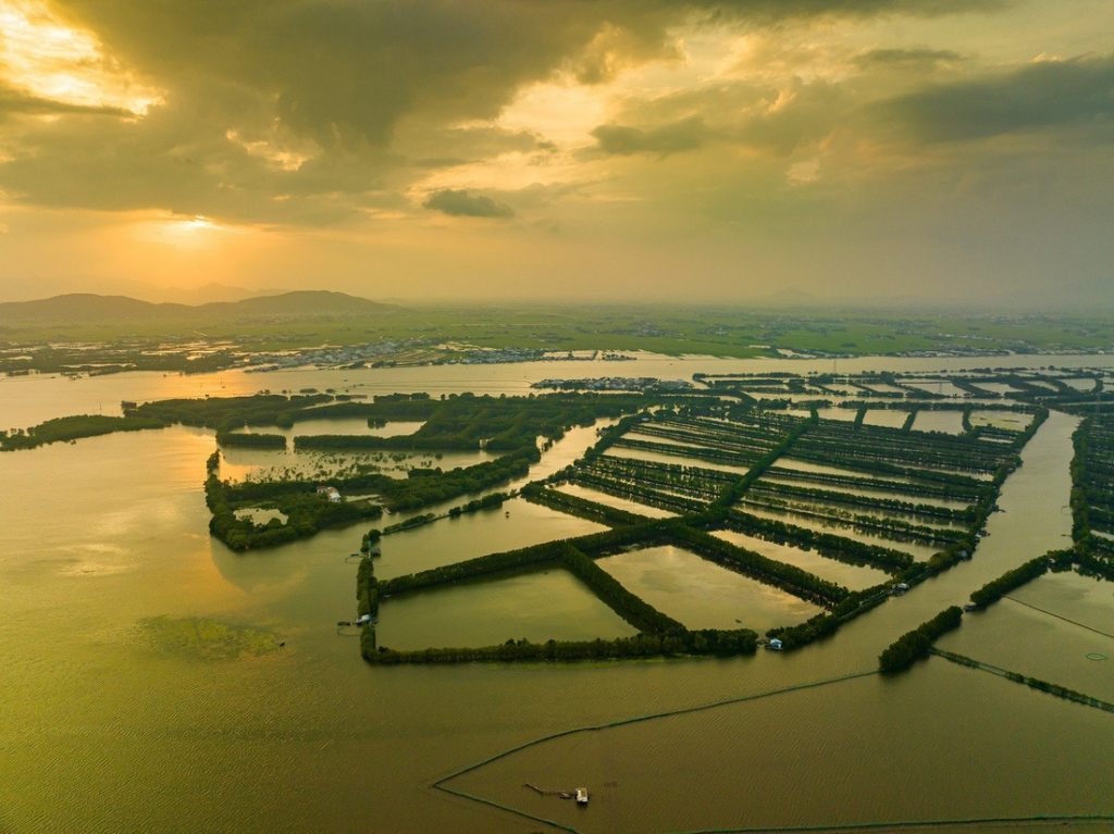 Tour Cồn Chim Quy Nhơn